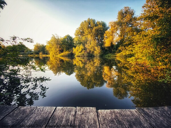 Trees reflected in lake with boardwalk Picture Board by Chris Spalton