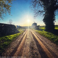 Buy canvas prints of Country lane at Sunset by Chris Spalton