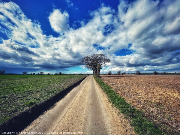 Outdoor road with big sky and tree Norfolk Picture Board by Chris Spalton