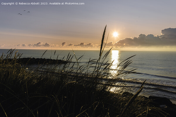 Warm Sunrise at Potters Resort, Hopton-on-Sea Picture Board by Rebecca Abbott