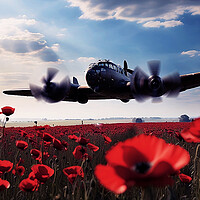 Buy canvas prints of Poppy Field Flyby  by CC Designs