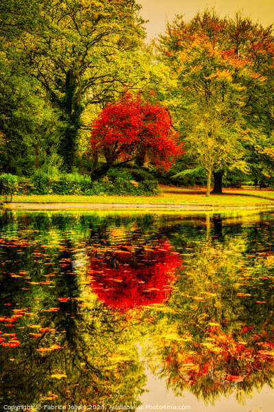 Autumnal Tranquility: St Stephen's Green, Dublin Picture Board by Fabrice Jolivet