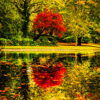 Buy canvas prints of Autumnal Tranquility: St Stephen's Green, Dublin by Fabrice Jolivet