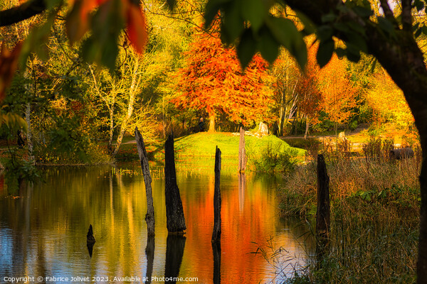 Autumn's Fiery Embrace, Irish Countryside Picture Board by Fabrice Jolivet