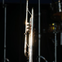 Buy canvas prints of Harmony at Beatyard: Trumpet Illuminated by Fabrice Jolivet