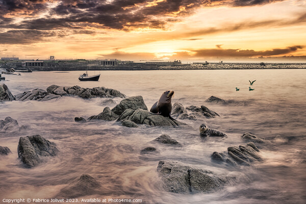 Serene Dawn at Sandycove, Ireland Picture Board by Fabrice Jolivet