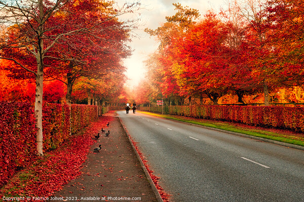 Vibrant Autumnal Roadway Vignette Picture Board by Fabrice Jolivet