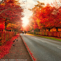 Buy canvas prints of Vibrant Autumnal Roadway Vignette by Fabrice Jolivet