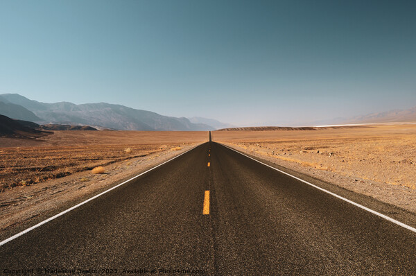 The Open Road in Death Valley, California  Picture Board by Madeleine Deaton