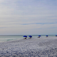 Buy canvas prints of Serene Seagrove Beach by Madeleine Deaton