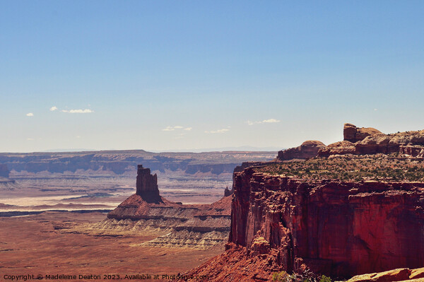 Canyonlands National Park, Utah Picture Board by Madeleine Deaton