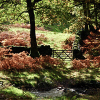 Buy canvas prints of Autumn in the Lake District by Madeleine Deaton