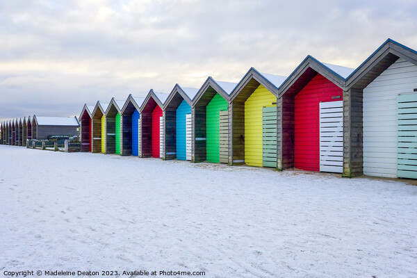 Beach Huts in the Snow Picture Board by Madeleine Deaton