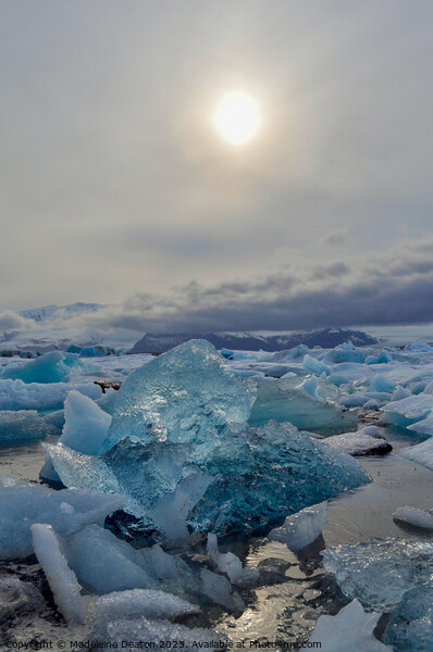 Blue Ice - Jökulsárlón Lagoon Picture Board by Madeleine Deaton