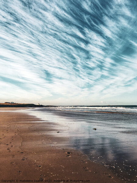 Dramatic Sky on the Northumberland Coast Picture Board by Madeleine Deaton