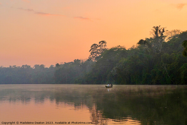 Lake Sandoval at hazy sunset in the Peruvian Amazon Picture Board by Madeleine Deaton
