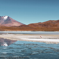 Buy canvas prints of Bolivian Volcano Reflections  by Madeleine Deaton