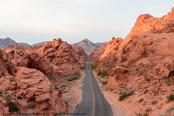 Sunrise View of Famous Mouse's Tank Road At Valley of Fire State Park Picture Board by Madeleine Deaton