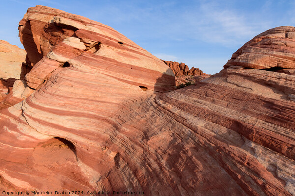 Close up of the Majestic Fire Wave Sandstone Rock Formation  Picture Board by Madeleine Deaton