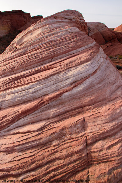 Close up of the Beautiful Fire Wave Sandstone Rock Formation Picture Board by Madeleine Deaton