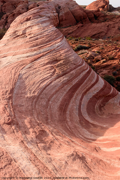 Incredible Wave Pattern in Sandstone Rock Known as the Fire Wave Picture Board by Madeleine Deaton