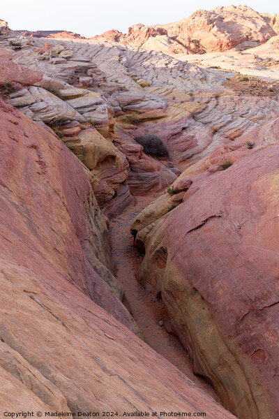 Looking Into the Beautiful Pink Canyon slot From Above Picture Board by Madeleine Deaton