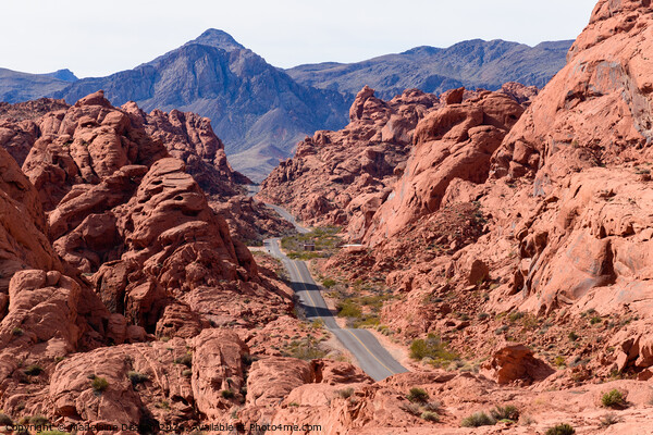 Beautiful View of the Classic Winding Road at Valley of Fire Picture Board by Madeleine Deaton