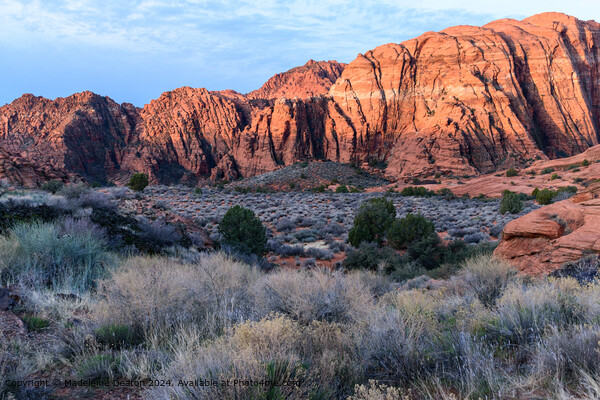 Stunning Sunrise Glow on the Red Rock Cliffs at Sn Picture Board by Madeleine Deaton