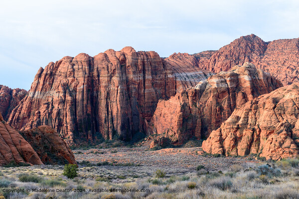 The Epic Red Rock Formations and Cliffs at Snow Canyon State Park Picture Board by Madeleine Deaton