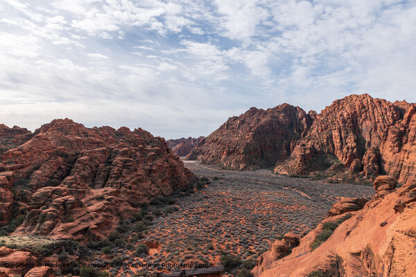 Aerial View of the Main Canyon and Stunning Rock Formations of Snow Canyon, Utah Picture Board by Madeleine Deaton