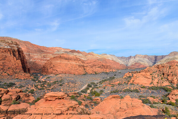 Beautiful Aerial View of the Snow Canyon Red Rock Landscape with Hiking Trail Picture Board by Madeleine Deaton