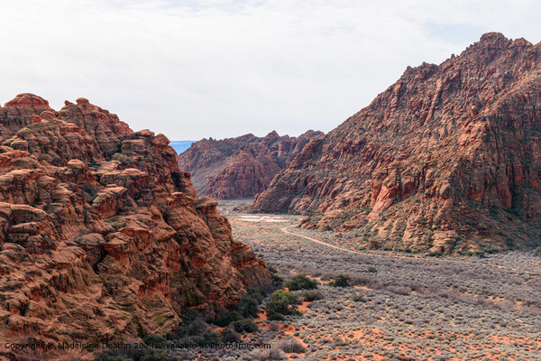 Aerial View of a Hiking Trail Surrounded by Red Rock Cliffs at Snow Canyon State Park Picture Board by Madeleine Deaton