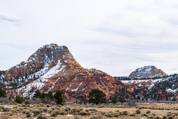 Majestic Snow-Capped Mountains in Kolob Terrace, Zion National Park Picture Board by Madeleine Deaton