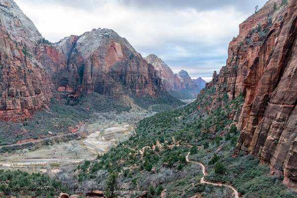 Stunning Canyon View from the West Rim Trail in Zion Canyon Picture Board by Madeleine Deaton