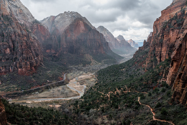 Canyon View from the West Rim Trail in Zion National Park When Raining Picture Board by Madeleine Deaton