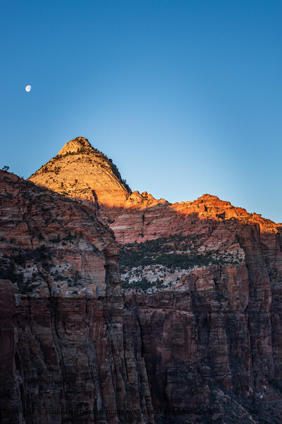 Sunrise Over Zion National Park Cliffs with Moon Background, Utah Picture Board by Madeleine Deaton