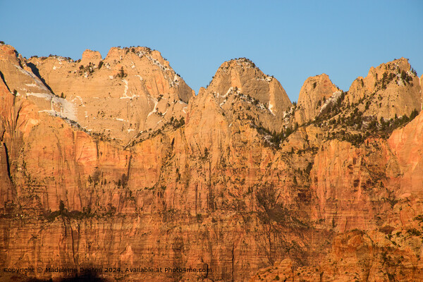 Stunning View of the Canyon Walls at Sunrise, Zion National Park, Utah Picture Board by Madeleine Deaton