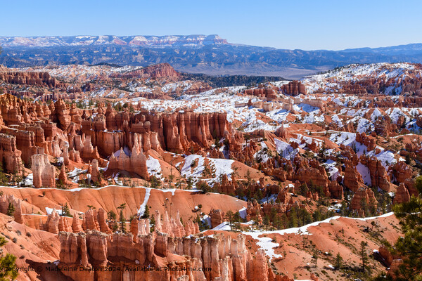 Scenic View of Bryce Canyon from the Queens Garden Trail During Winter Picture Board by Madeleine Deaton