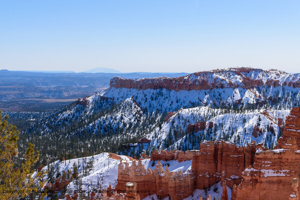 Snow-Capped Landscape of Bryce Canyon National Park During Winter Picture Board by Madeleine Deaton