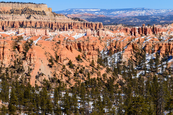 Bryce Canyon Snowy Landscape Picture Board by Madeleine Deaton