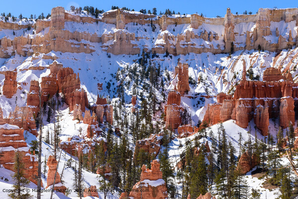 Bryce Canyon Snowy Landscape Picture Board by Madeleine Deaton