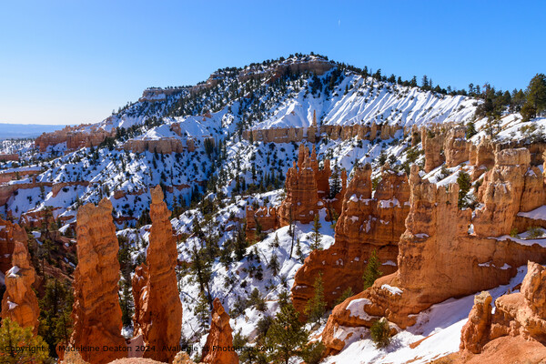 Bryce Canyon Snowy Cliffs Picture Board by Madeleine Deaton