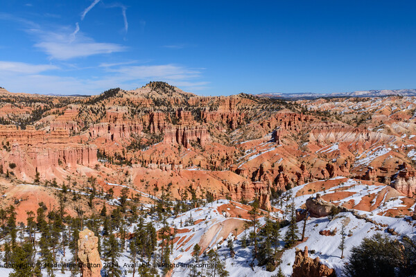 Bryce Canyon Snowy Vista Picture Board by Madeleine Deaton