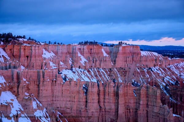 Bryce Canyon Snowy Cliffs Sunrise Picture Board by Madeleine Deaton