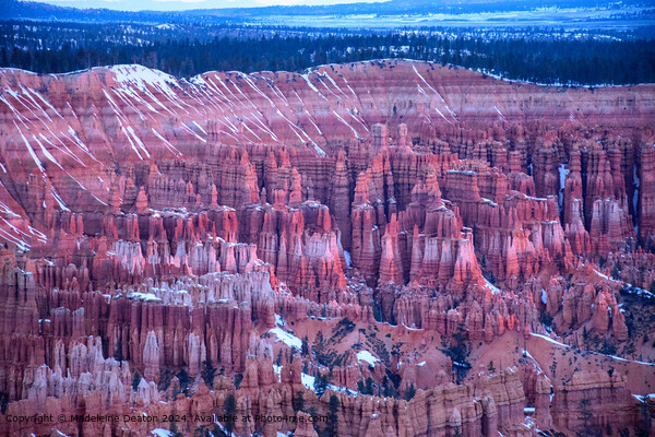 Bryce Canyon Sunrise Hoodoos Picture Board by Madeleine Deaton
