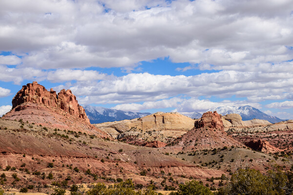 Panoramic View of Capitol Reef National Park's Waterpocket Fold Picture Board by Madeleine Deaton