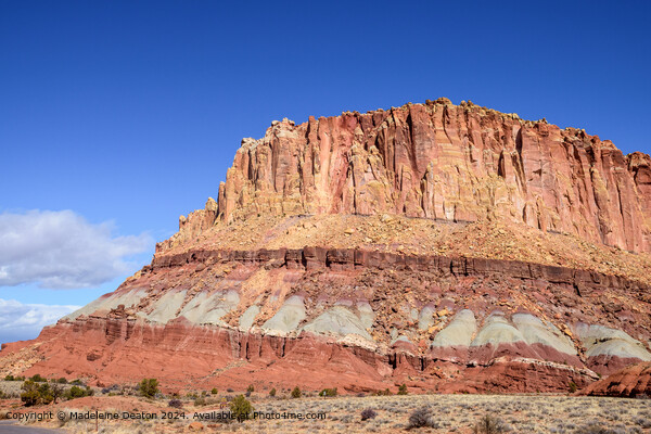 Stunning View of Capitol Reef Waterpocket Fold Rock Strata, Utah Picture Board by Madeleine Deaton