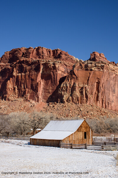 Snow-Covered Fruita Barn at Capitol Reef National Park, Utah Picture Board by Madeleine Deaton