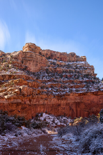 Winter Landscape of the Grand Wash in Capitol Reef National Park, Utah Picture Board by Madeleine Deaton