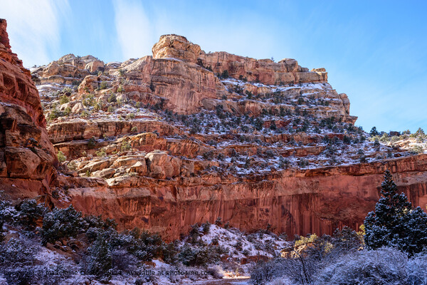 Snow-Covered Rocky Cliffs in Capitol Reef National Park, Utah  Picture Board by Madeleine Deaton